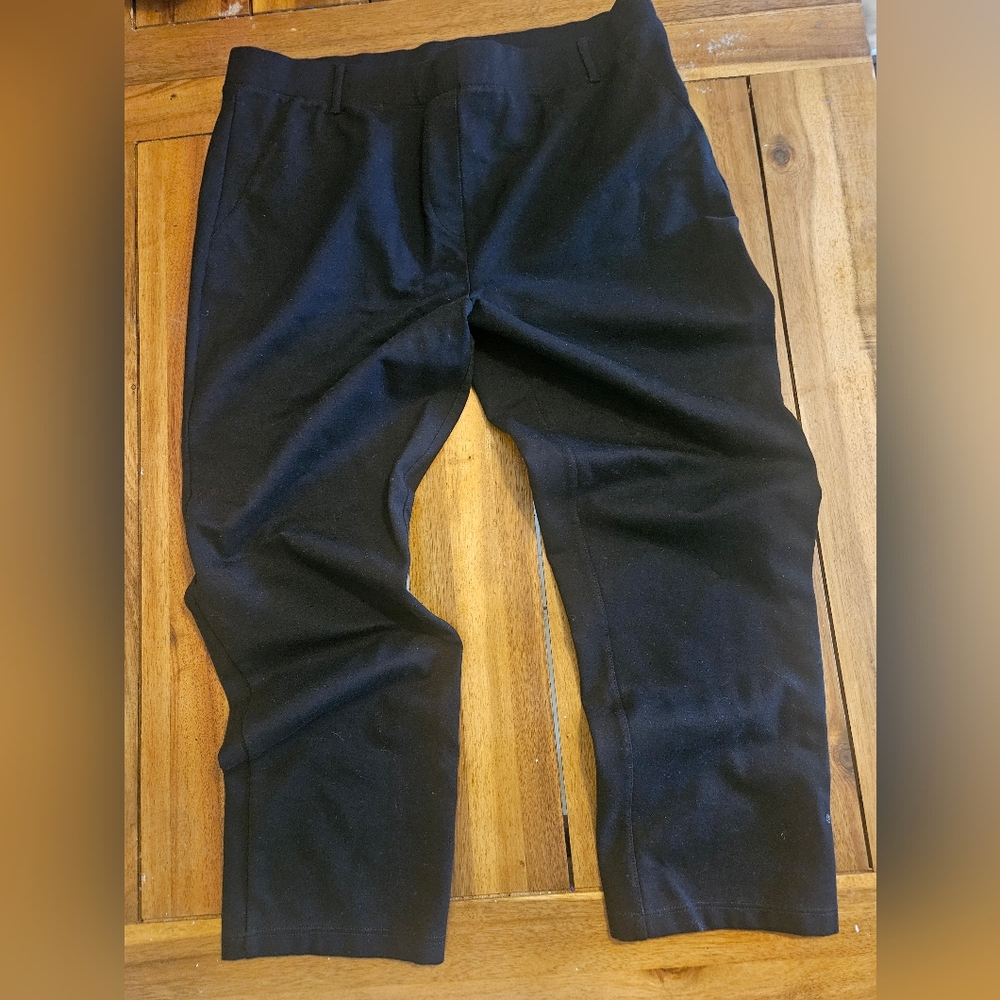 Quince Black Stretch Ankle Pants Women’s Size XL | Workwear, Dressy Casual